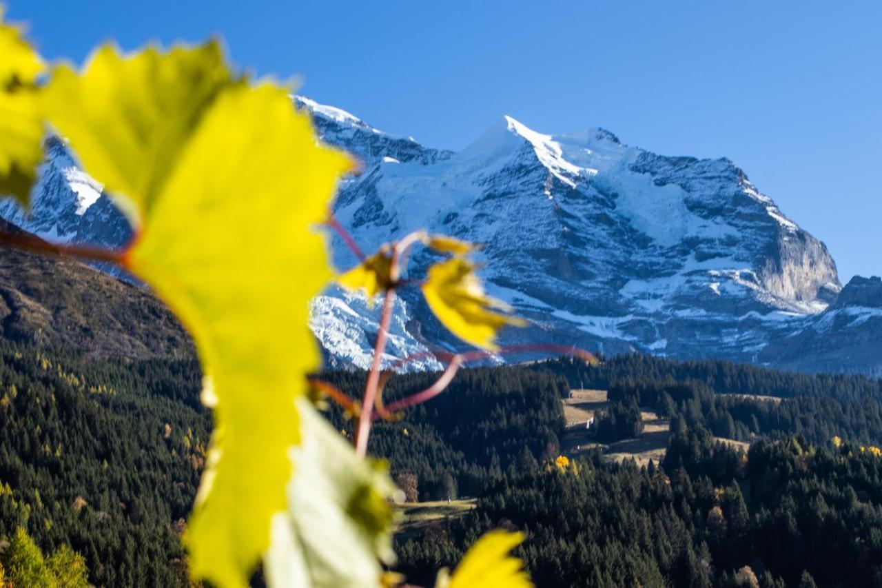 Chalet Aargovia South Wengen Buitenkant foto