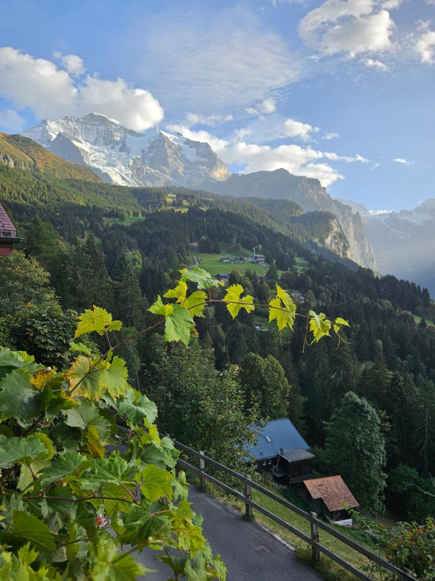 Chalet Aargovia South Wengen Buitenkant foto